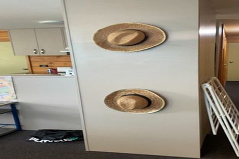 Photo of property in Drummond Street Flats, 25/19u Drummond Street, Mount Cook, Wellington, 6021