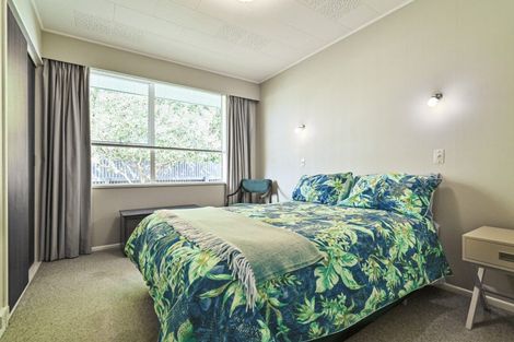 Photo of property in 220b Wolseley Street, Mayfair, Hastings, 4122