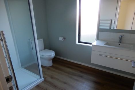 Photo of property in 79 Mandeville Street, Riccarton, Christchurch, 8011