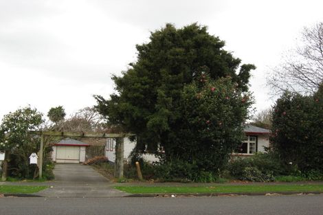 Photo of property in 15 Roosevelt Street, Levin, 5510