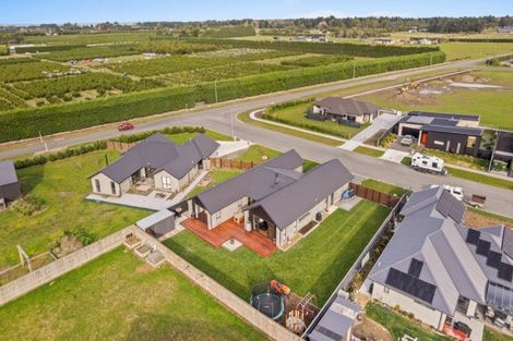 Photo of property in 39 Plover Avenue, Amberley, 7410