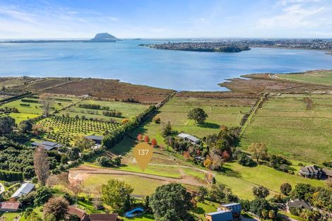 Photo of property in 137 Lochhead Road, Te Puna, Tauranga, 3176