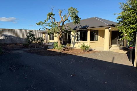 Photo of property in 41a Irvine Street, Mosgiel, 9024