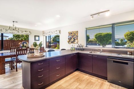 Photo of property in 9 Millichamp Street, Tinwald, Ashburton, 7700