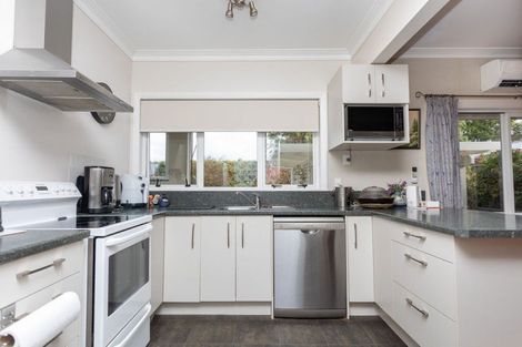 Photo of property in 29 Guy Street, Dannevirke, 4930