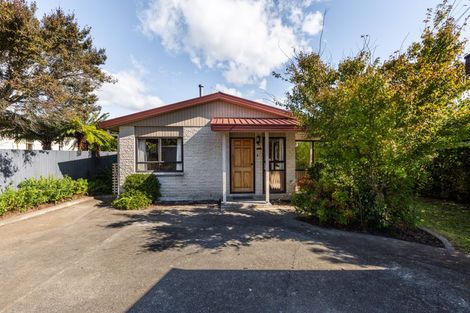 Photo of property in 101 Mayfair Avenue, Mayfair, Hastings, 4122