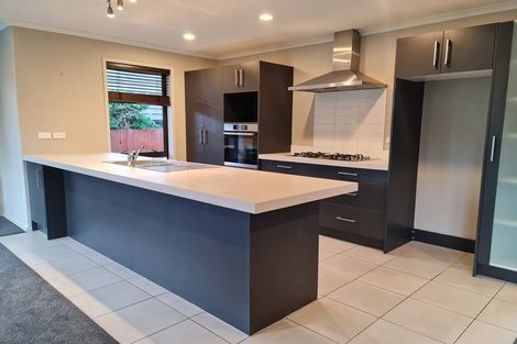 Photo of property in 10 Cornice Place, Flagstaff, Hamilton, 3210