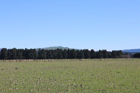 Photo of property in 161 Innes Road, St Albans, Christchurch, 8052