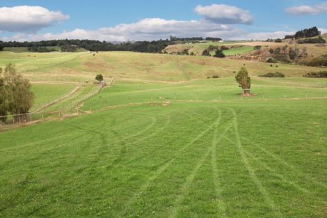 Photo of property in 95a Ostrich Farm Road, Pukekohe, 2676