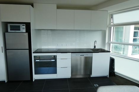 Photo of property in Pinnacle On Victoria, 160 Victoria Street, Te Aro, Wellington, 6011