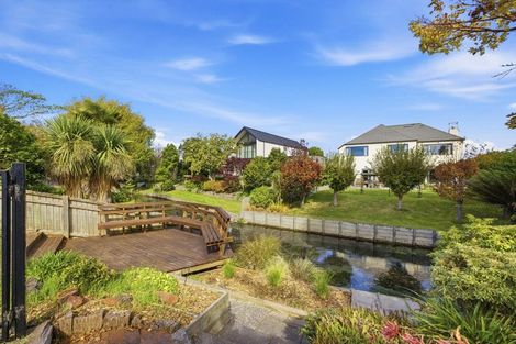 Photo of property in 29 Kotare Street, Fendalton, Christchurch, 8041