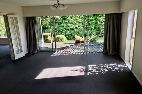Photo of property in 65 Walters Road, Marshland, Christchurch, 8051
