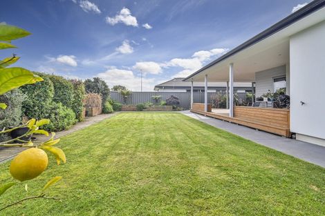 Photo of property in 230 Avondale Road, Greenmeadows, Napier, 4112