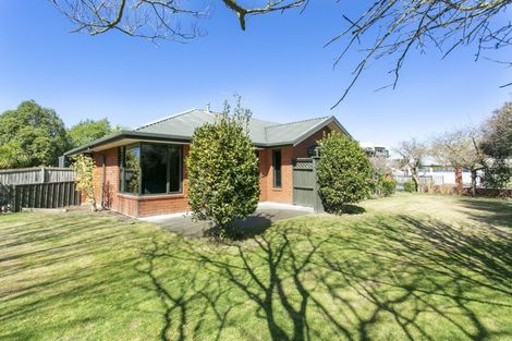 Photo of property in 11 Trellech Place, Allenton, Ashburton, 7700