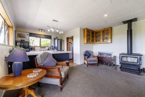 Photo of property in 15 Hillview Place, Pleasant Point, 7903