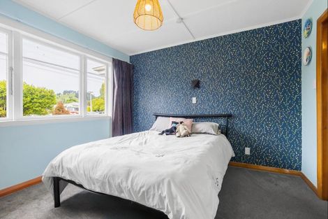 Photo of property in 251 Taupo Road, Taumarunui, 3920