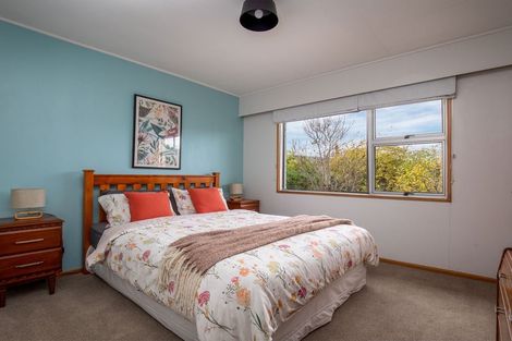 Photo of property in 18 Branxholm Street, Roxburgh, 9500