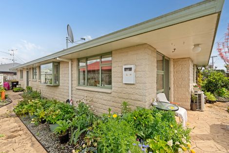 Photo of property in 143 Dixon Street, Masterton, 5810