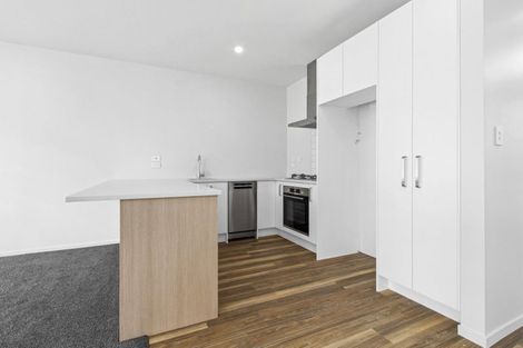 Photo of property in 11u1 Kingsley Street, Saint Andrews, Hamilton, 3200
