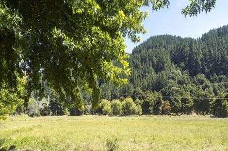 Photo of property in 196 Tinui Valley Road, Tinui Valley, Tinui, 5894