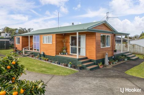 Photo of property in 12 Carrick Robertson Place, Waihi, 3610