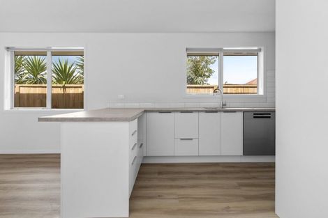 Photo of property in 41u2 Ross Crescent, Fairfield, Hamilton, 3214