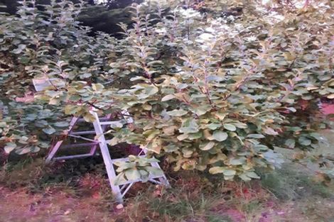 Photo of property in 897 Sandy Knolls Road, West Melton, Christchurch, 7675