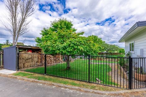 Photo of property in 17 Rose Street, Waipukurau, 4200
