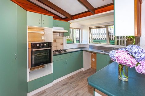 Photo of property in 125 Hays Place, Thames, 3500