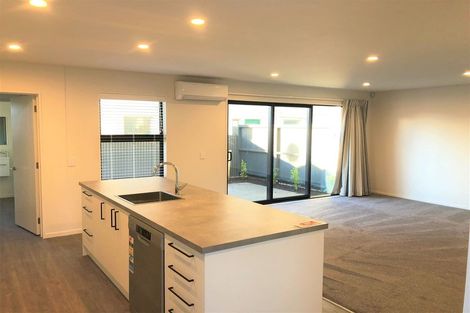 Photo of property in 49 Olliviers Road, Phillipstown, Christchurch, 8011