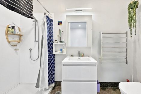 Photo of property in Aniva Terrace, 12 Arney Street, Newtown, Wellington, 6021