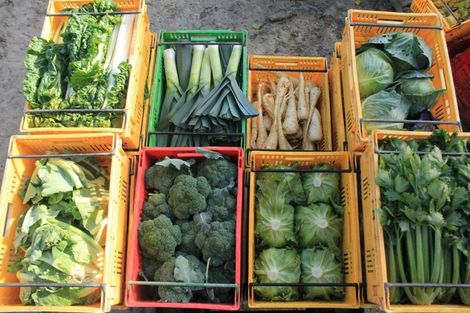 Photo of property in 781 Outram-mosgiel Road, Riverside, Mosgiel, 9073