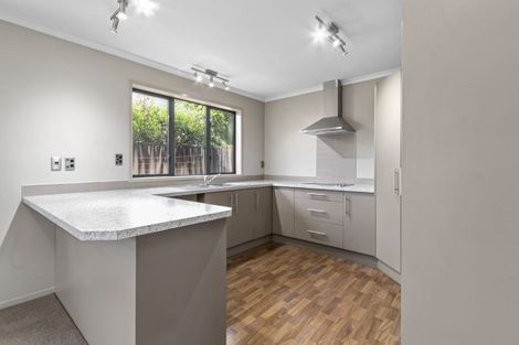 Photo of property in 127a Massey Street, Frankton, Hamilton, 3204