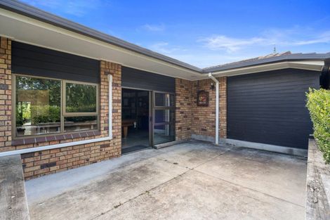 Photo of property in 315 Manoeka Road, Te Puke, 3183