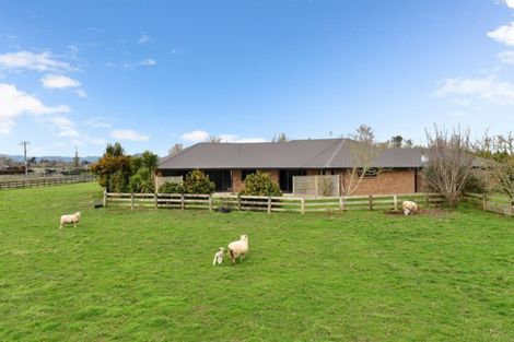 Photo of property in 17b Marshmeadow Road, Newstead, Hamilton, 3286