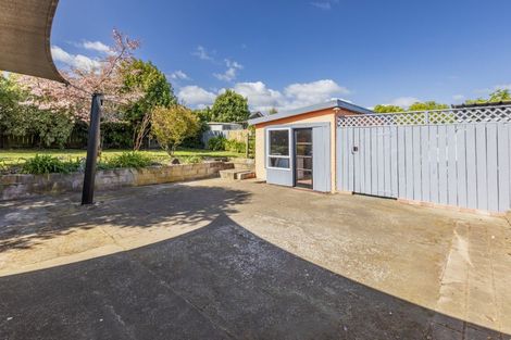 Photo of property in 45a Racecourse Road, Waipukurau, 4200