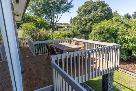 Photo of property in 16 Riverview Terrace, Fairfield, Hamilton, 3214