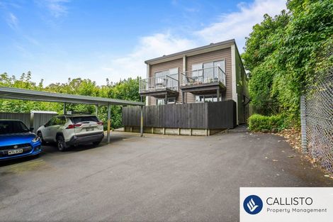 Photo of property in 66a Maclaggan Street, Dunedin Central, Dunedin, 9016