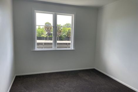 Photo of property in 702a Dennett Street, Mahora, Hastings, 4120