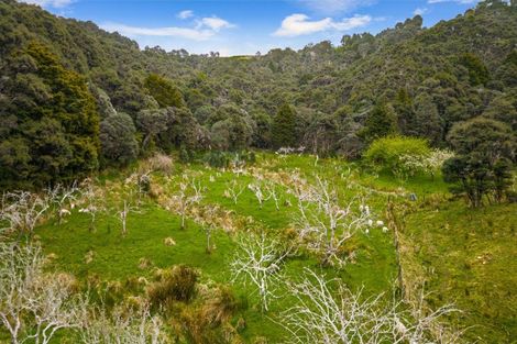 Photo of property in 121c Fowler Access Road, Puhoi, Warkworth, 0994