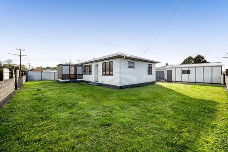 Photo of property in 102 Brecon Road, Stratford, 4332