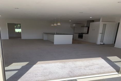 Photo of property in 98 Brookside Road, Rolleston, 7614