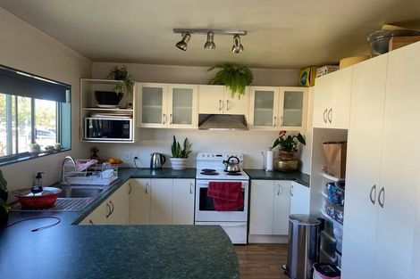 Photo of property in 12 Britton Avenue, Mount Roskill, Auckland, 1041