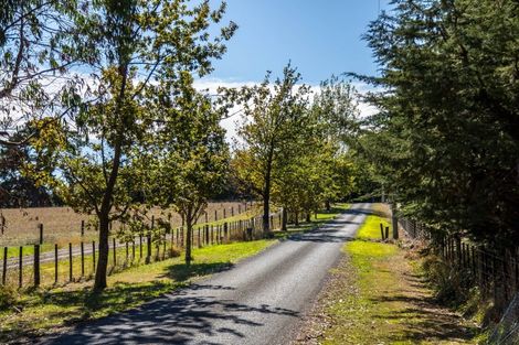 Photo of property in 144 Dublin Street, Martinborough, 5711