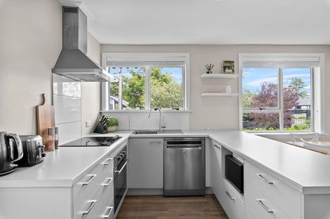 Photo of property in 36 Condell Avenue, Papanui, Christchurch, 8053