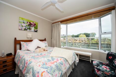 Photo of property in 97 Hangawera Road, Morrinsville, 3375