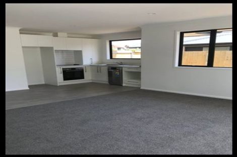 Photo of property in 2u3 Mcnicol Street, Fairfield, Hamilton, 3214