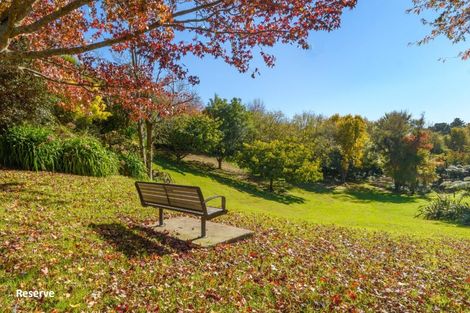 Photo of property in 38 Rowesdale Drive, Ohauiti, Tauranga, 3112