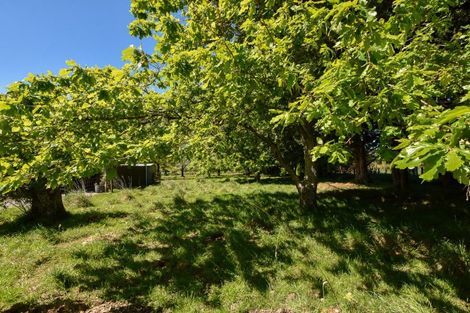 Photo of property in 142 Norfolk Road, Waingawa, Carterton, 5791