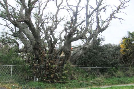 Photo of property in 12 Elbourne Street, Taradale, Napier, 4112